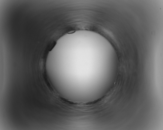 X0000089360121200706150831