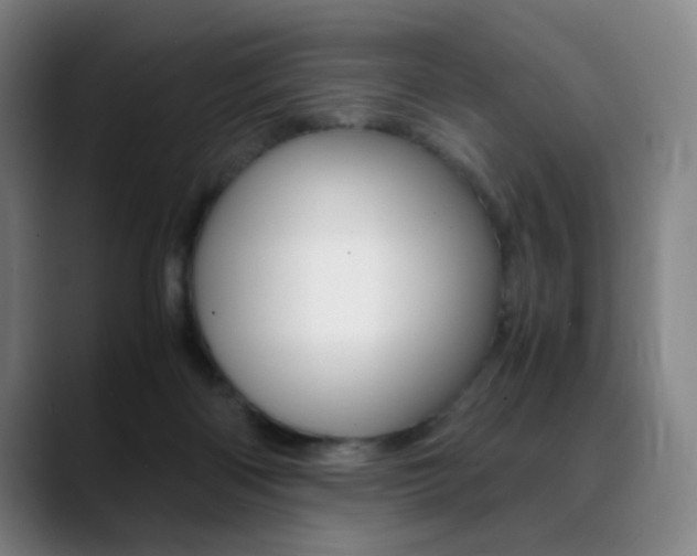 X0000089360122200706150831