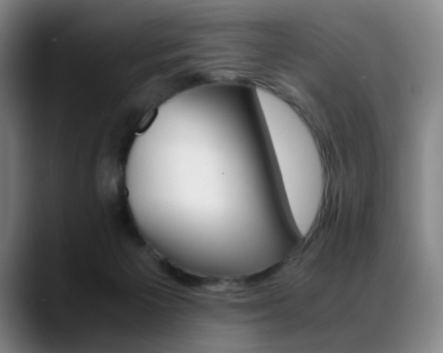 X0000089360125200706150831
