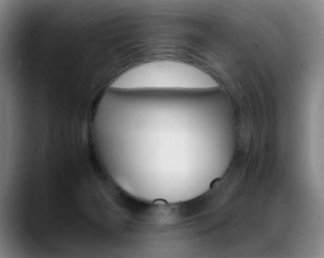 X0000089360126200706150831
