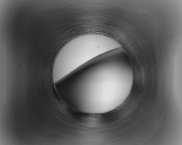 X0000089360128200706150831