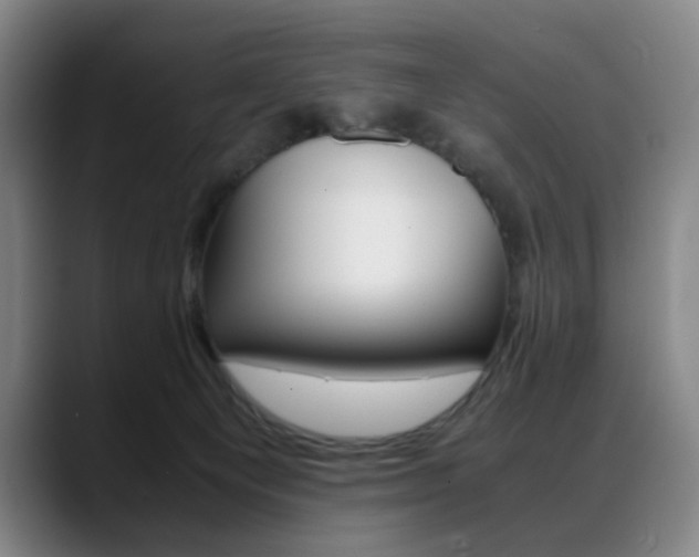 X0000089360129200706150831