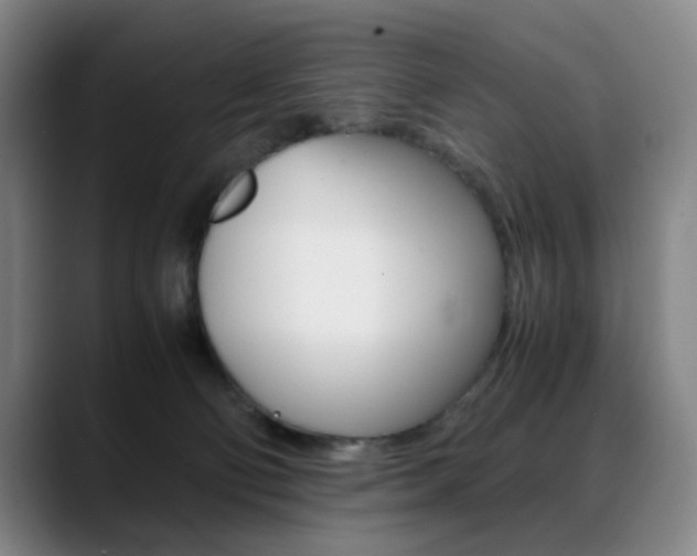 X0000089360130200706150831
