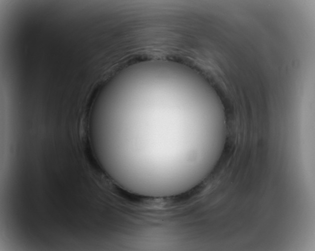 X0000089360131200706150831