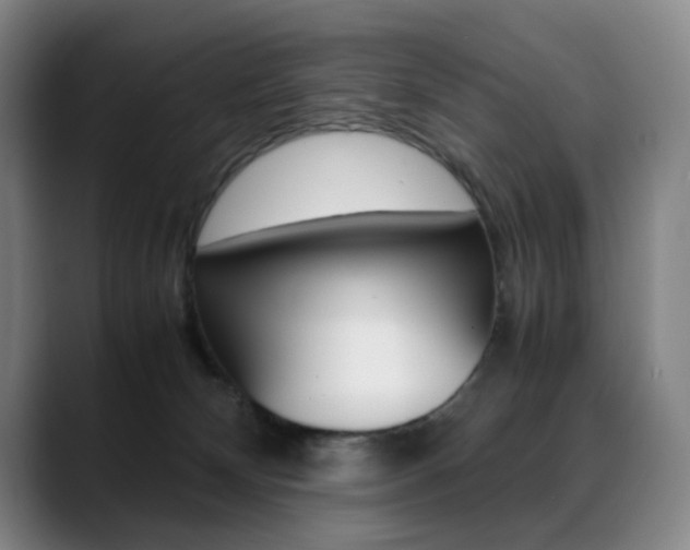 X0000089360132200706150831