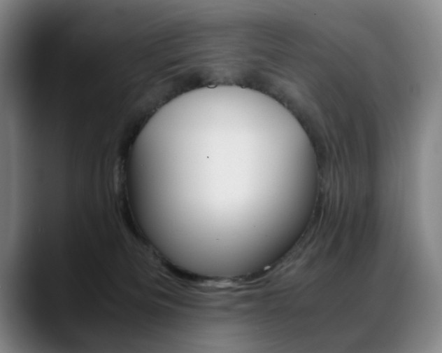 X0000089360133200706150831