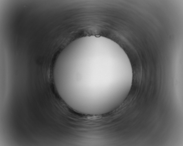 X0000089360134200706150831