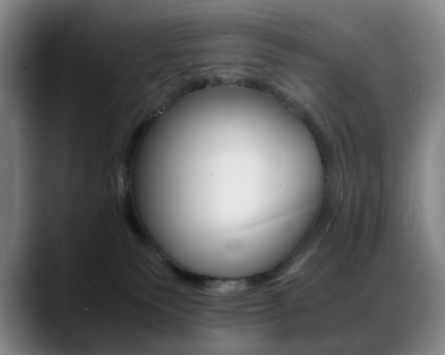 X0000089360135200706150831