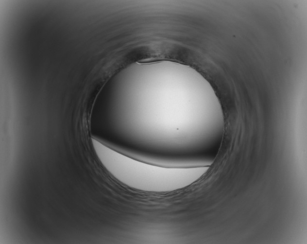 X0000089360137200706150831