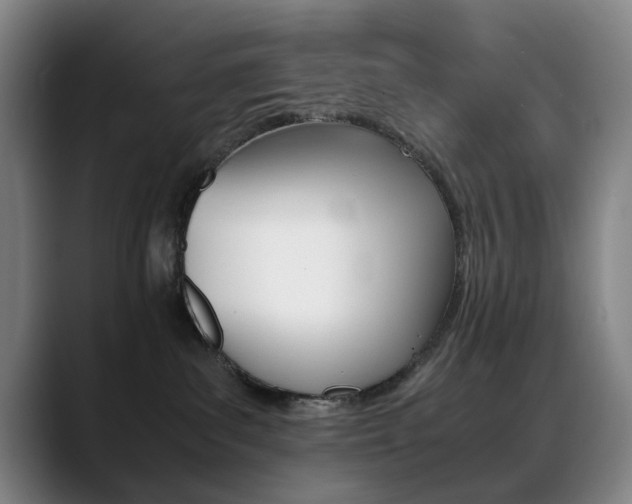 X0000089360139200706150831