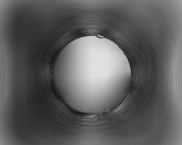 X0000089360140200706150831