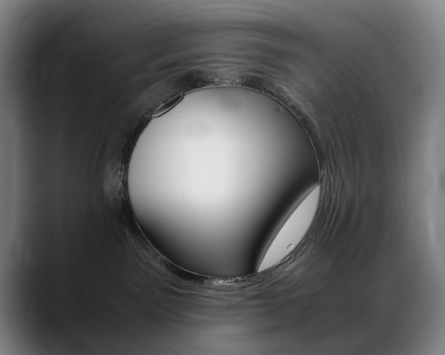 X0000089360141200706150831