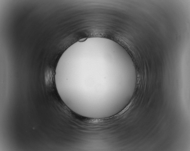X0000089360142200706150830