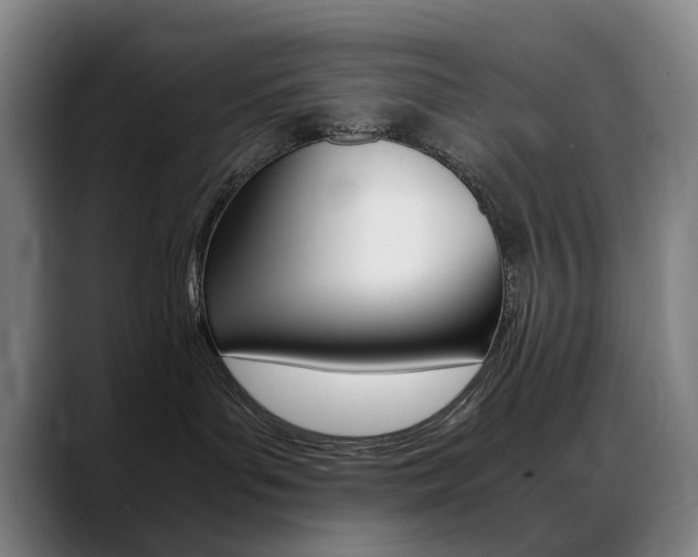 X0000089360143200706150830