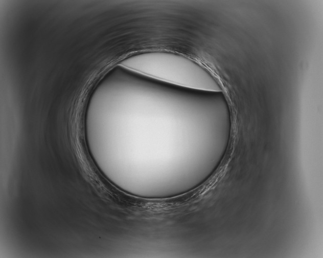 X0000089360145200706150830
