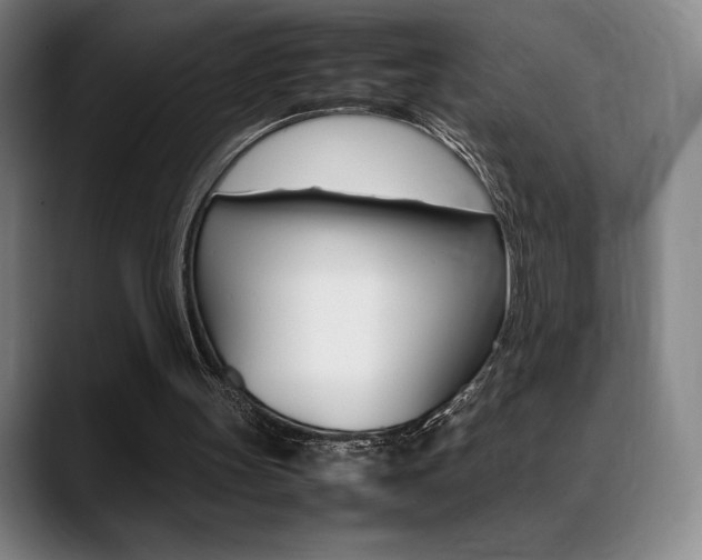 X0000089360147200706150830
