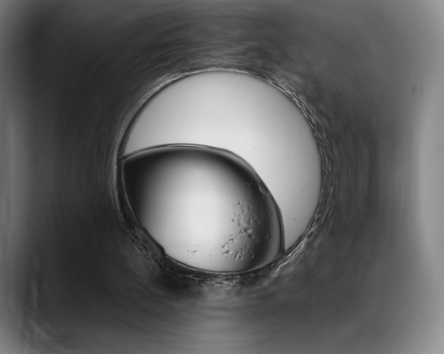X0000089360148200706150830