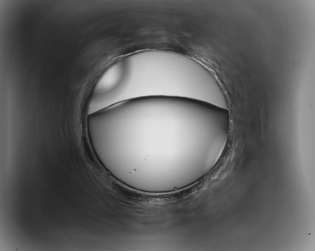 X0000089360149200706150830