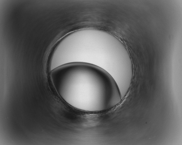 X0000089360150200706150830