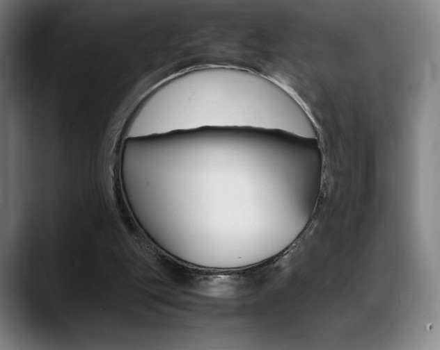 X0000089360151200706150830