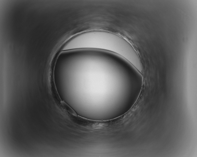 X0000089360152200706150830