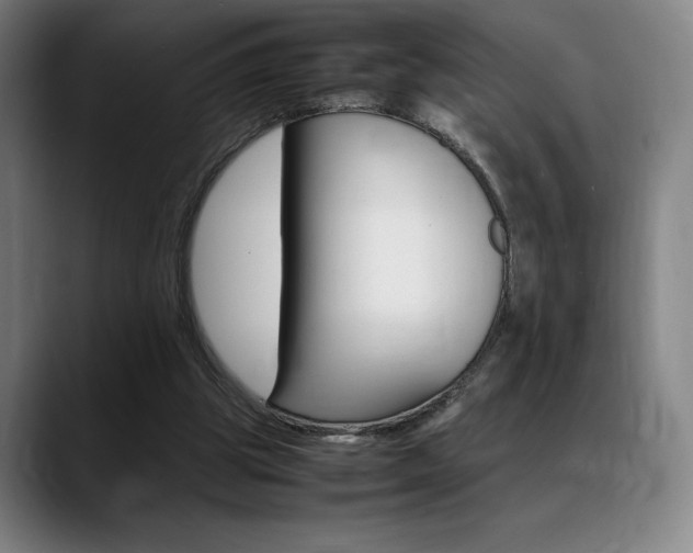 X0000089360153200706150830