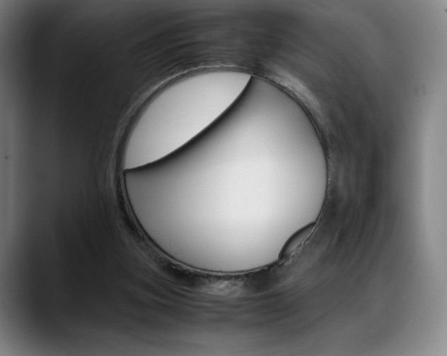 X0000089360155200706150830