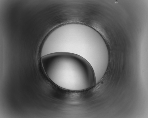 X0000089360156200706150830