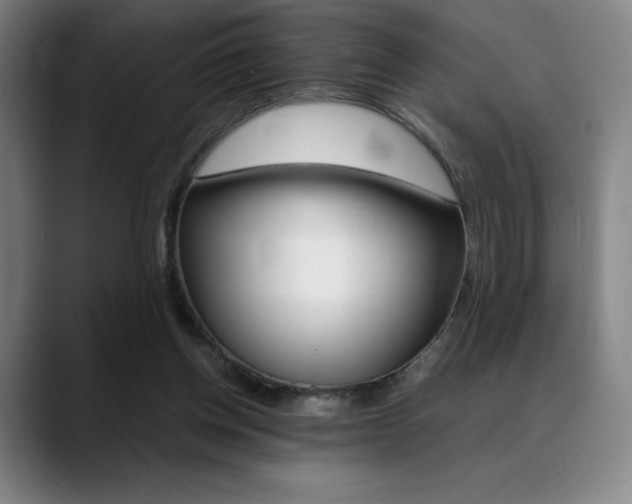 X0000089360158200706150830