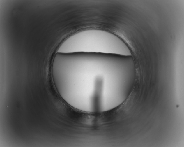 X0000089360159200706150830