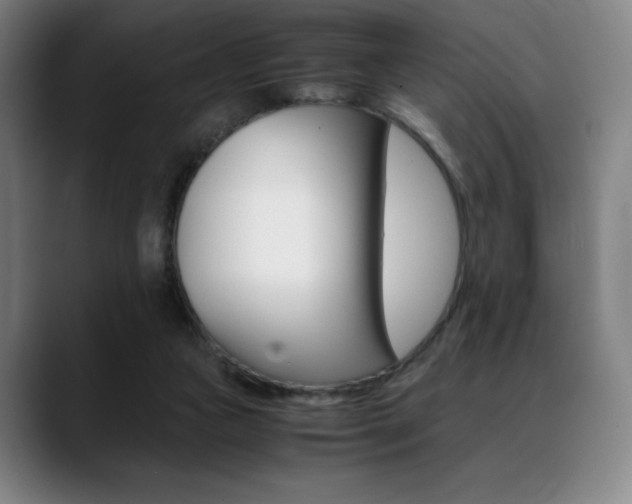 X0000089360161200706150830