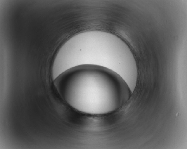 X0000089360164200706150830