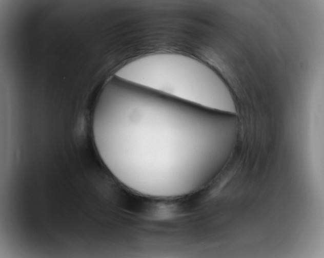 X0000089360165200706150830
