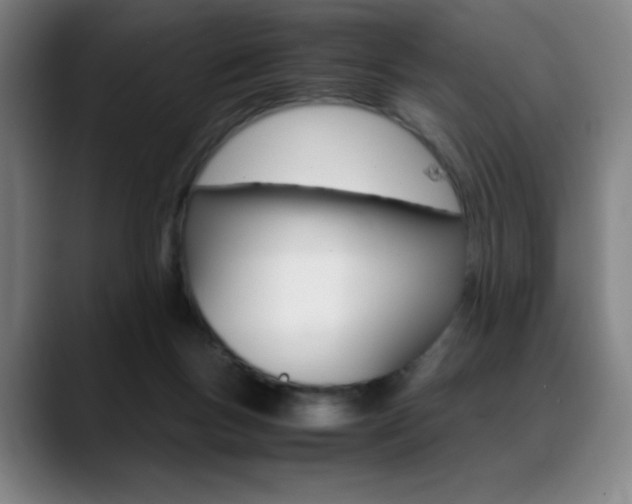 X0000089360167200706150830