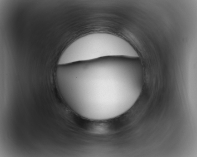 X0000089360169200706150830