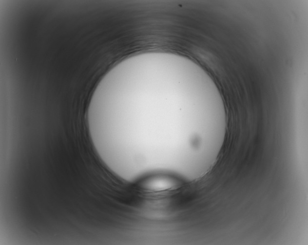 X0000089360172200706150830