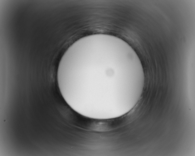 X0000089360174200706150830