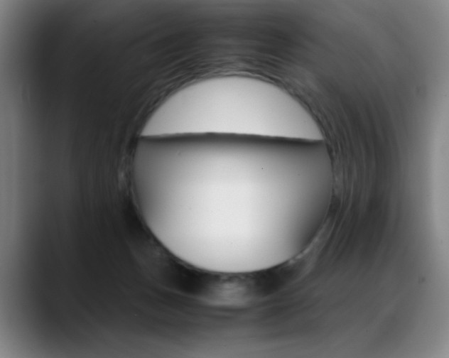 X0000089360175200706150830