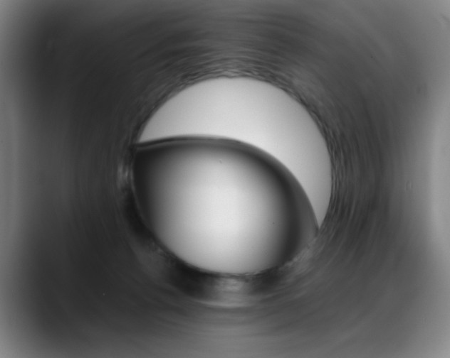 X0000089360176200706150830