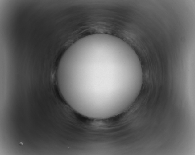 X0000089360177200706150830