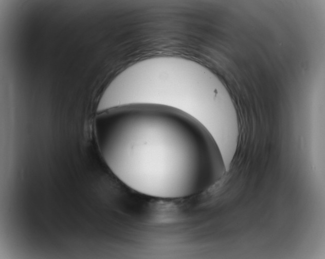 X0000089360180200706150830