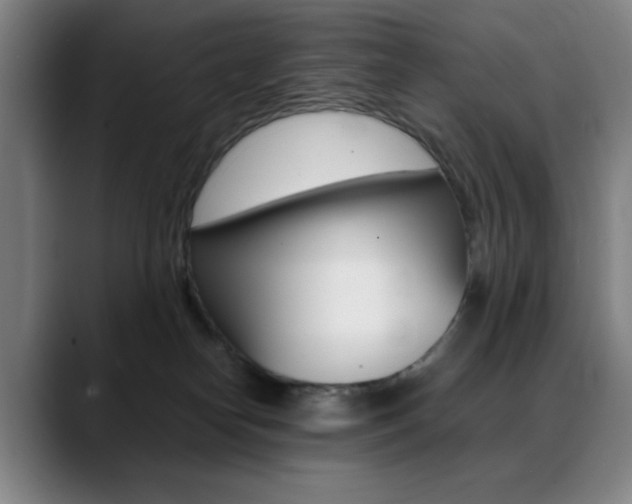X0000089360182200706150830