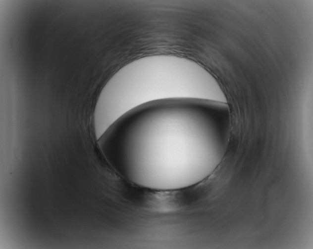 X0000089360184200706150830