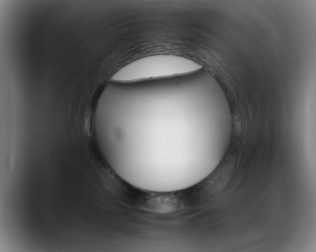 X0000089360185200706150830