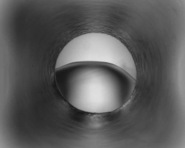X0000089360186200706150830