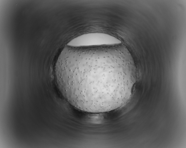 X0000089360187200706150830