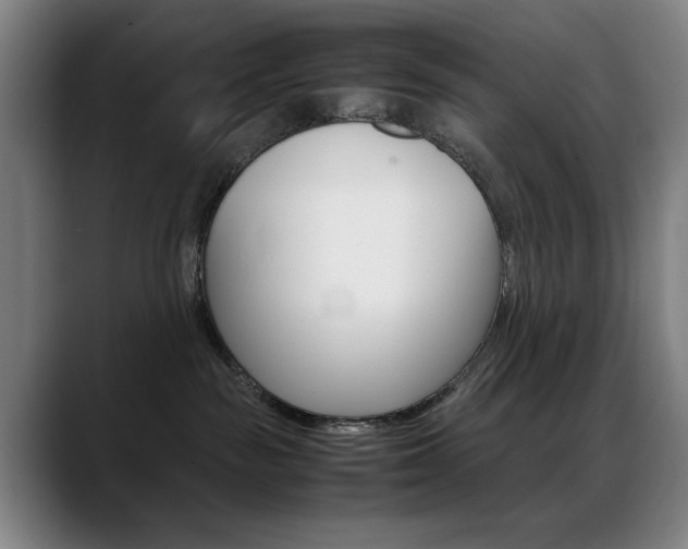 X0000089360189200706150830