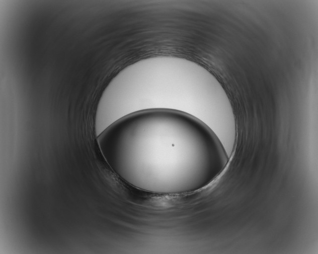 X0000089360190200706150830