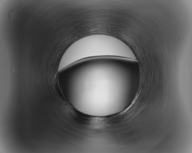 X0000089360192200706150830