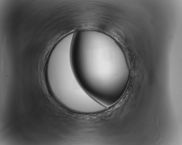 X0000089360193200706150830